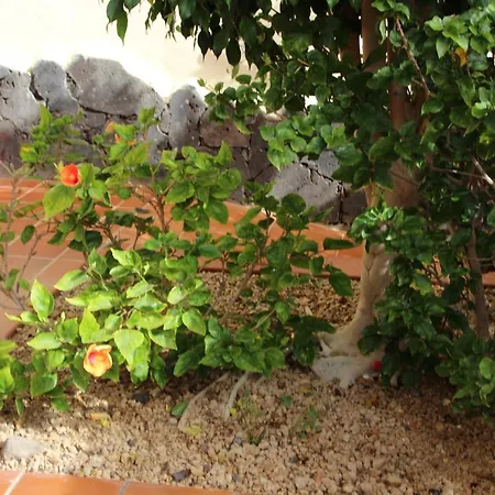 Balcon Del Mar En La Costa