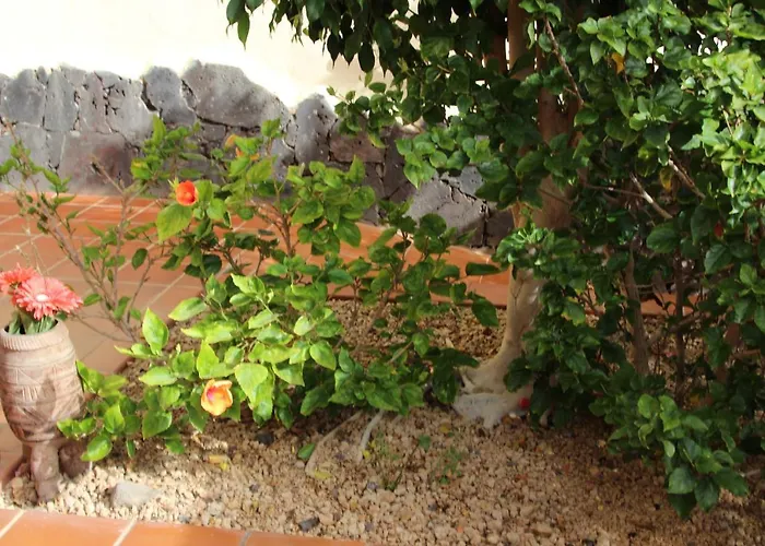 Balcon Del Mar En La Costa